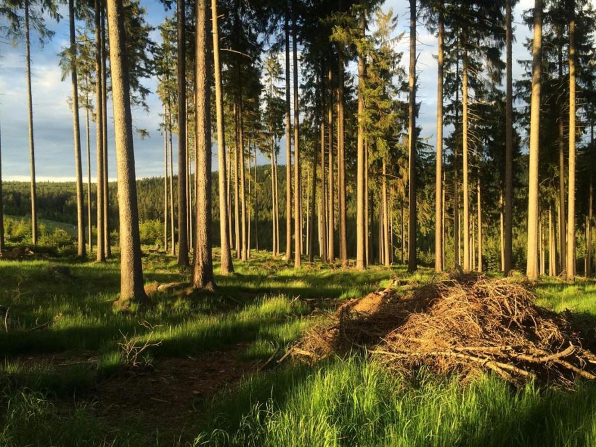 Ferienhaus Juster Im Wald Gutenbrunn Eksteriør billede